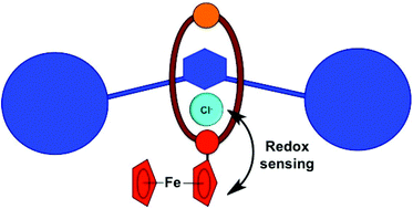 Graphical abstract: Neutral redox-active hydrogen- and halogen-bonding [2]rotaxanes for the electrochemical sensing of chloride