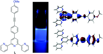 Graphical abstract: Synthesis, structure and photophysical properties of a highly luminescent terpyridine-diphenylacetylene hybrid fluorophore and its metal complexes