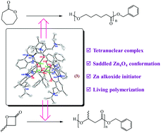 Graphical abstract: Mono-, di- and tetra-zinc complexes derived from an amino-benzotriazole phenolate ligand containing a bulkier N-alkyl pendant arm: synthesis, structure and catalysis for ring-opening polymerization of cyclic esters
