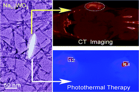 Graphical abstract: Na0.3WO3 nanorods: a multifunctional agent for in vivo dual-model imaging and photothermal therapy of cancer cells