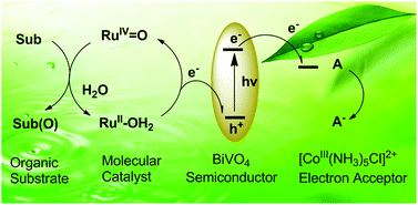 Graphical abstract: Photocatalytic oxidation of organic compounds in a hybrid system composed of a molecular catalyst and visible light-absorbing semiconductor