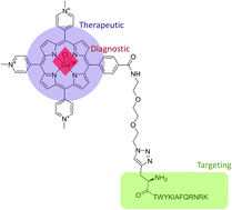 Graphical abstract: PET/PDT theranostics: synthesis and biological evaluation of a peptide-targeted gallium porphyrin
