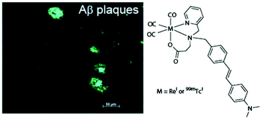 Graphical abstract: Rhenium and technetium complexes that bind to amyloid-β plaques