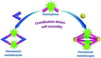 Graphical abstract: Recent advances in the construction of fluorescent metallocycles and metallocages via coordination-driven self-assembly