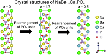 Graphical abstract: Crystal structures and luminescence properties of Eu2+-activated new NaBa0.5Ca0.5PO4 and Na3Ba2Ca(PO4)3