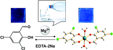 Graphical abstract: A real-time fluorescent sensor specific to Mg2+: crystallographic evidence, DFT calculation and its use for quantitative determination of magnesium in drinking water
