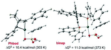 Graphical abstract: Transmetalation from B to Rh in the course of the catalytic asymmetric 1,4-addition reaction of phenylboronic acid to enones: a computational comparison of diphosphane and diene ligands