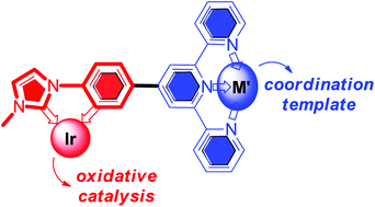 Graphical abstract: Templating an N-heterocyclic carbene (NHC)-cyclometalated Cp*IrIII-based oxidation precatalyst on a pendant coordination platform: assessment of the oxidative behavior via electrochemical, spectroscopic and catalytic probes