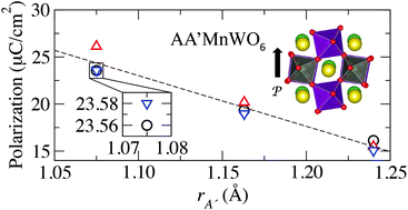 Graphical abstract: Tuning the ferroelectric polarization in AA′MnWO6 double perovskites through A cation substitution