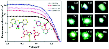 Graphical abstract: Synthesis and characterization of substituted Schiff-base ligands and their d10 metal complexes: structure-induced luminescence tuning behaviors and applications in co-sensitized solar cells