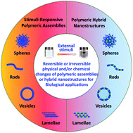 Graphical abstract: Recent advances towards the fabrication and biomedical applications of responsive polymeric assemblies and nanoparticle hybrid superstructures