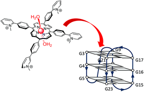Graphical abstract: Cobalt(iii)porphyrin to target G-quadruplex DNA