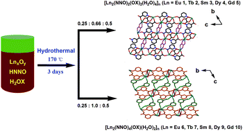 Graphical abstract: Two series of reactant's ratio-dependent lanthanide organic frameworks derived from nicotinic acid N-oxide and oxalate: synthesis, crystal structures and luminescence properties
