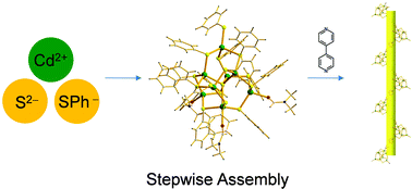 Graphical abstract: Stepwise assembly of a semiconducting coordination polymer [Cd8S(SPh)14(DMF)(bpy)]n and its photodegradation of organic dyes
