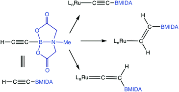 Graphical abstract: Organometallic chemistry of ethynyl boronic acid MIDA ester, HC [[triple bond, length as m-dash]] CB(O2CCH2)2NMe