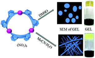 Graphical abstract: Nanoscale metallogel via self-assembly of self-assembled trinuclear coordination rings: multi-stimuli-responsive soft materials