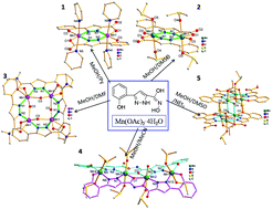 Graphical abstract: Solvent dependent reactivities of di-, tetra- and hexanuclear manganese complexes: syntheses, structures and magnetic properties