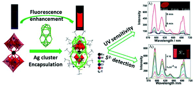 Graphical abstract: A silver-alkynyl cluster encapsulating a fluorescent polyoxometalate core: enhanced emission and fluorescence modulation