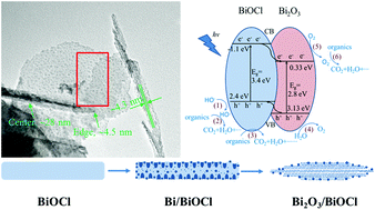 Graphical abstract: Photocatalytic property of a Bi2O3 nanoparticle modified BiOCl composite with a nanolayered hierarchical structure synthesized by in situ reactions