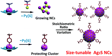 Graphical abstract: Designed synthesis of size-tunable Ag2S nanoclusters via distinguishable C–S bond cleavage reaction of alkyl- and aryl-thiolates