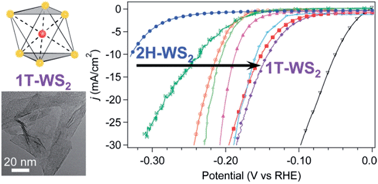 Graphical abstract: Highly active hydrogen evolution catalysis from metallic WS2 nanosheets
