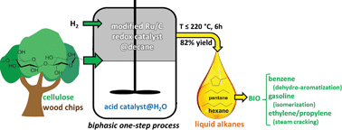 Graphical abstract: Direct catalytic conversion of cellulose to liquid straight-chain alkanes
