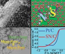 Graphical abstract: A self-sponsored doping approach for controllable synthesis of S and N co-doped trimodal-porous structured graphitic carbon electrocatalysts