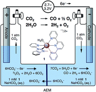 Graphical abstract: Single catalyst electrocatalytic reduction of CO2 in water to H2+CO syngas mixtures with water oxidation to O2