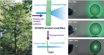 Graphical abstract: Highly transparent paper with tunable haze for green electronics