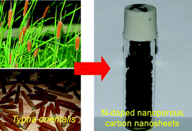 Graphical abstract: Nitrogen-doped nanoporous carbon nanosheets derived from plant biomass: an efficient catalyst for oxygen reduction reaction