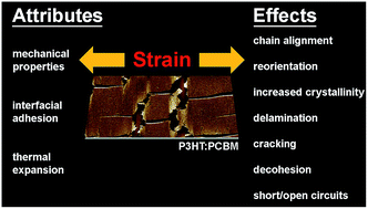 Graphical abstract: Mechanical degradation and stability of organic solar cells: molecular and microstructural determinants