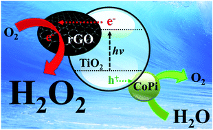 Graphical abstract: Solar production of H2O2 on reduced graphene oxide–TiO2 hybrid photocatalysts consisting of earth-abundant elements only