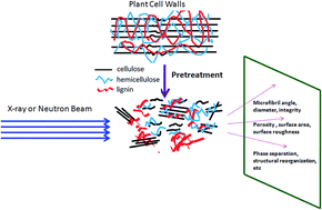 Graphical abstract: Theory, practice and prospects of X-ray and neutron scattering for lignocellulosic biomass characterization: towards understanding biomass pretreatment