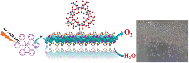 Graphical abstract: Bio-inspired organic cobalt(ii) phosphonates toward water oxidation
