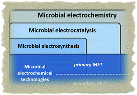 Graphical abstract: Microbial electrochemistry and technology: terminology and classification