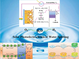 Graphical abstract: Unique 3D heterojunction photoanode design to harness charge transfer for efficient and stable photoelectrochemical water splitting
