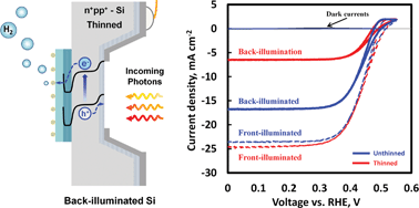 Graphical abstract: Back-illuminated Si photocathode: a combined experimental and theoretical study for photocatalytic hydrogen evolution