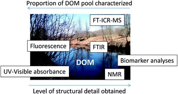 Graphical abstract: Structural characterization of dissolved organic matter: a review of current techniques for isolation and analysis