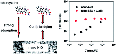 Graphical abstract: Adsorption of tetracycline to nano-NiO: the effect of co-existing Cu(ii) ions and environmental implications
