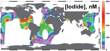 Graphical abstract: The distribution of iodide at the sea surface