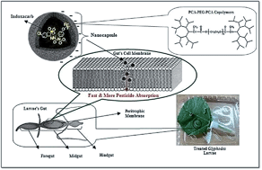 Graphical abstract: Linear-dendritic copolymers/indoxacarb supramolecular systems: biodegradable and efficient nano-pesticides