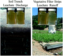 Graphical abstract: Surface and subsurface attenuation of trenbolone acetate metabolites and manure-derived constituents in irrigation runoff on agro-ecosystems