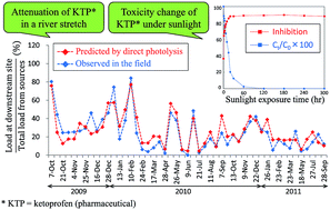 Graphical abstract: Evaluation of the photolysis of pharmaceuticals within a river by 2 year field observations and toxicity changes by sunlight