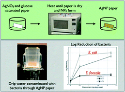 Graphical abstract: Microwave-assisted incorporation of silver nanoparticles in paper for point-of-use water purification