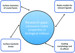 Graphical abstract: Nanoceria: factors affecting its pro- and anti-oxidant properties