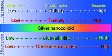 Graphical abstract: Salinity increases the toxicity of silver nanocolloids to Japanese medaka embryos