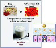 Graphical abstract: Excipient foods: designing food matrices that improve the oral bioavailability of pharmaceuticals and nutraceuticals