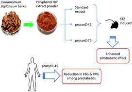 Graphical abstract: Effects of the polyphenol content on the anti-diabetic activity of Cinnamomum zeylanicum extracts