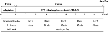 Graphical abstract: The effect of dietary α-lipoic acid, betaine, l-carnitine, and swimming on the obesity of mice induced by a high-fat diet