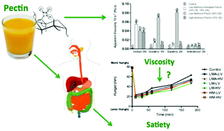 Graphical abstract: Correlating the structure and in vitro digestion viscosities of different pectin fibers to in vivo human satiety